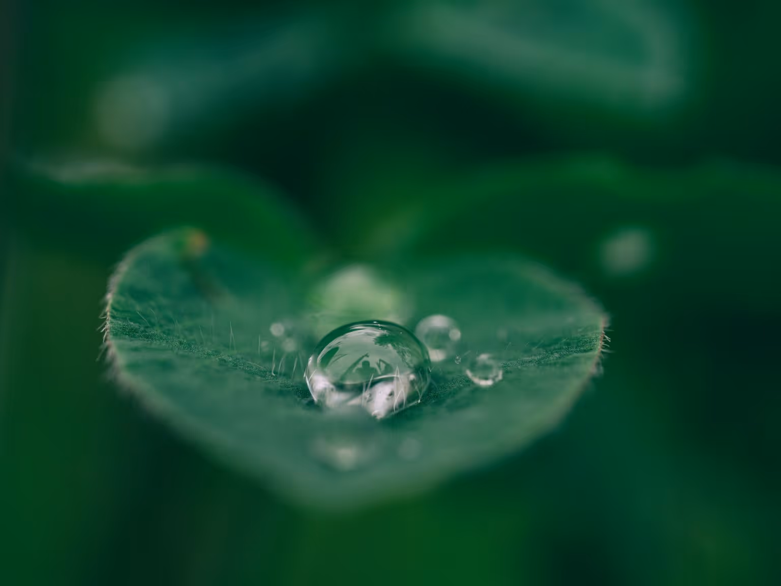 Gestion de l’eau : partage de la ressource et innovations