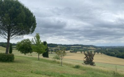 5ème édition du baromètre CALIF : une recherche de qualité plus qu’une rupture comme évolution des pratiques alimentaires